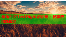 海角社区TestFlight激活码 - 畅享应用新体验