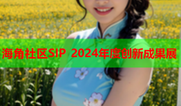 海角社区SIP 2024年度创新成果展