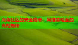 海角社区的安全隐患：网络黑暗面的真相揭秘