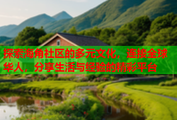 探索海角社区的多元文化，连接全球华人，分享生活与经验的精彩平台