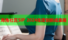 海角社区SIP 2024年度创新成果展