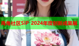 海角社区SIP 2024年度创新成果展