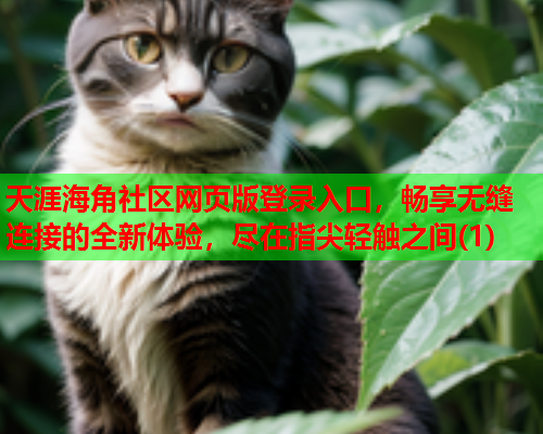 天涯海角社区网页版登录入口，畅享无缝连接的全新体验，尽在指尖轻触之间(1)